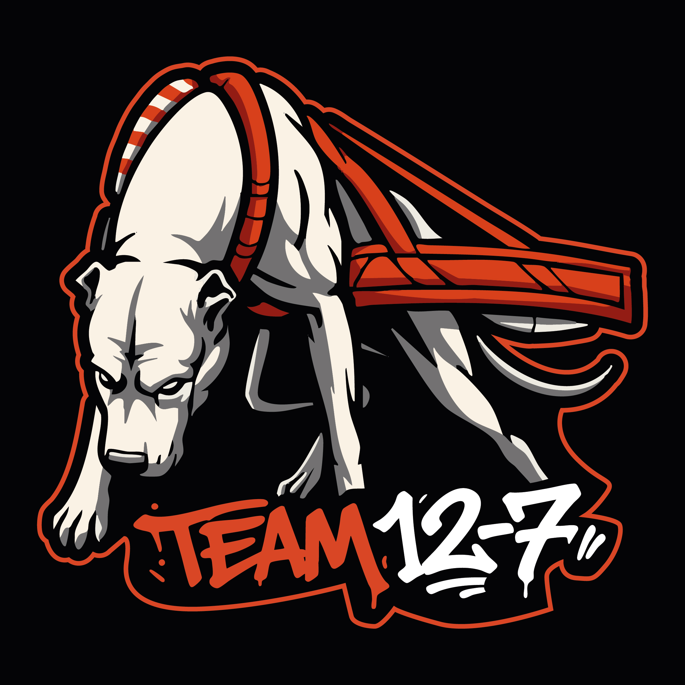 TEAM 12-7